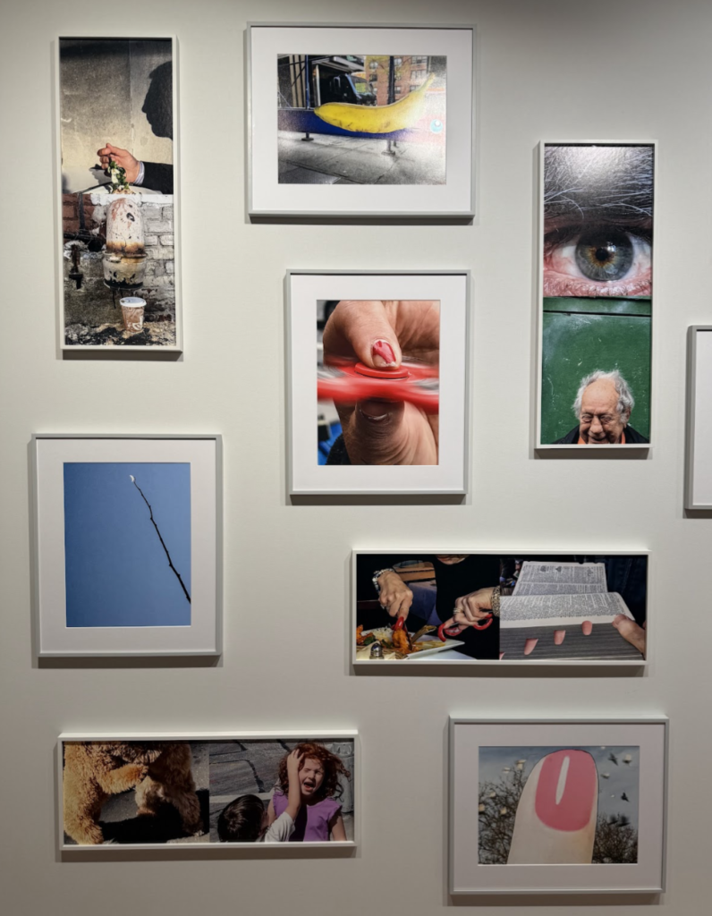 Michelle Auber- Paris Photo: mirar para cerrar el año